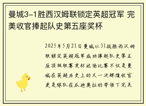 曼城3-1胜西汉姆联锁定英超冠军 完美收官捧起队史第五座奖杯